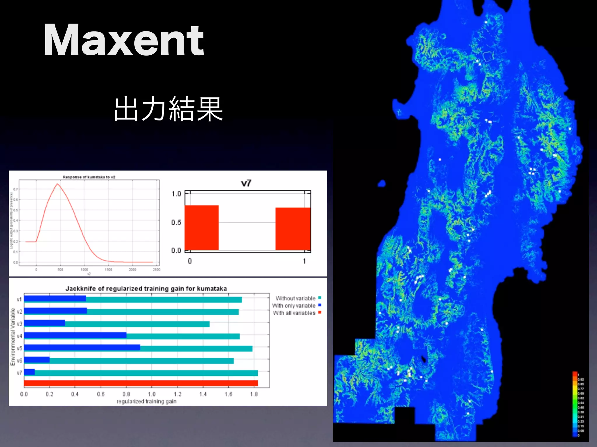 Maxent
  出力結果
 