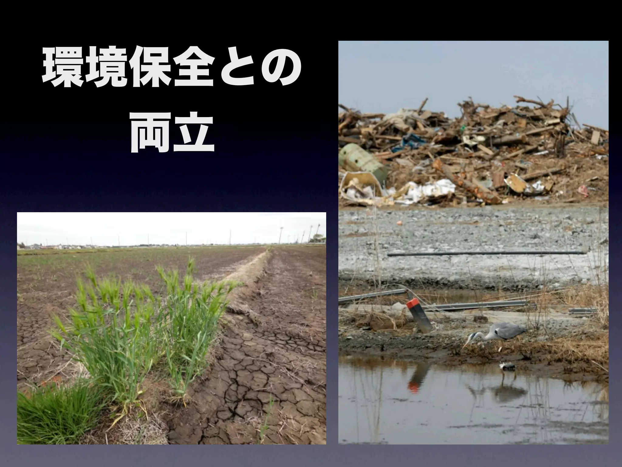 環境保全との
  両立
 