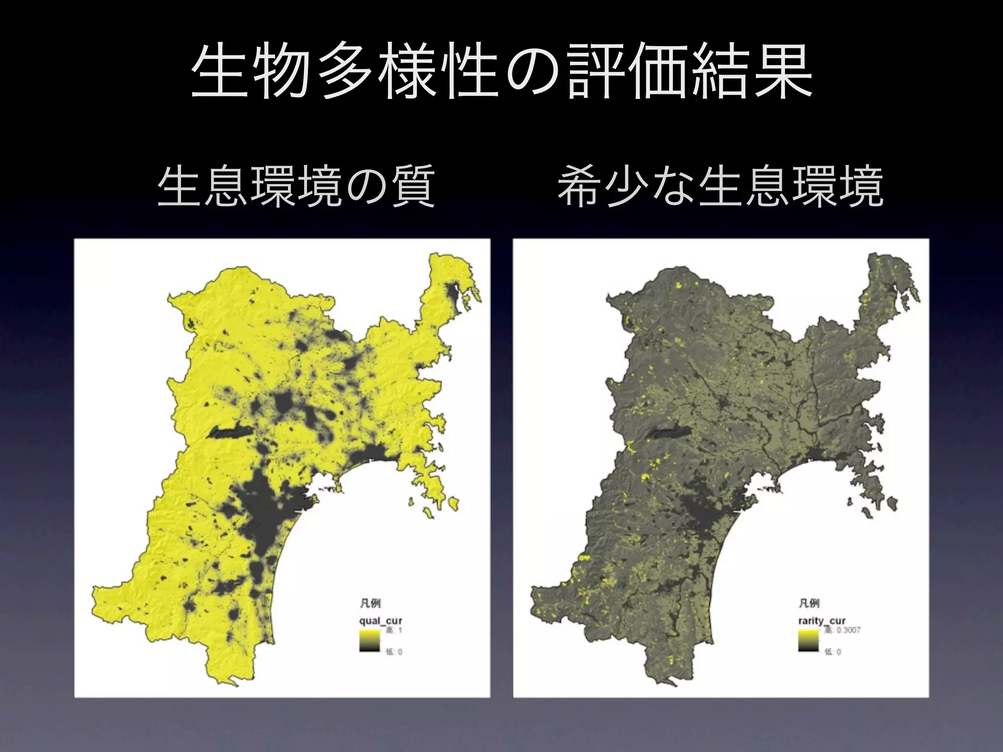 生物多様性の評価結果
生息環境の質   希少な生息環境
 