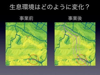 生息環境はどのように変化？
 事業前     事業後
 