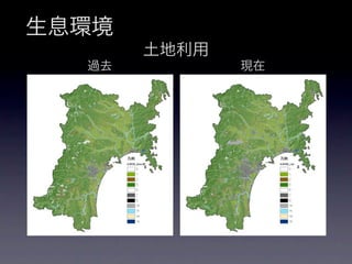 生息環境
       土地利用
  過去          現在
 