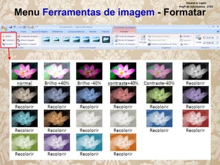 Silvana S. Lopes
Profª de Informática - ETEC

Menu Ferramentas de imagem - Formatar

 
