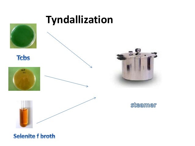 Resultado de imagen para Tyndallization