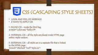Comprehensive Guide to Basic Webpage Creation Using HTML, CSS, and ...