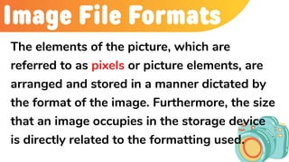 Image File Formats
The elements of the picture, which are
referred to as pixels or picture elements, are
arranged and stored in a manner dictated by
the format of the image. Furthermore, the size
that an image occupies in the storage device
is directly related to the formatting used.
 