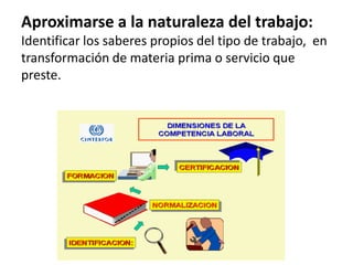 Aproximarse a la naturaleza del trabajo:
Identificar los saberes propios del tipo de trabajo, en
transformación de materia prima o servicio que
preste.

 