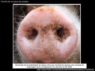 http://www.flickr.com/photos/melmoththewanderer/31029375/ Fucinho de um porco de verdade... Resultado da acessibilidade de alguns sites que receberam apenas uma camada de maquiagem para se adequarem ao decreto lei de 5296. 