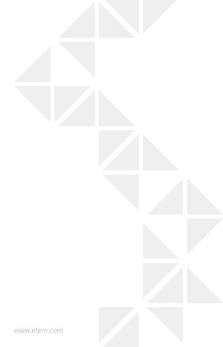 www.etem.com
 
