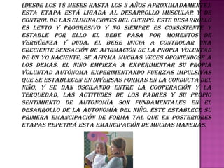 Autonomía vs. Vergüenza y Duda   (Desde los 18 meses hasta los 3 años aproximadamente). Esta etapa está ligada al desarrollo muscular y de control de las eliminaciones del cuerpo. Este desarrollo es lento y progresivo y no siempre es consistente y estable por ello el bebe pasa por momentos de vergüenza y duda. El bebe inicia a controlar una creciente sensación de afirmación de la propia voluntad de un yo naciente, se afirma muchas veces oponiéndose a los demás. El niño empieza a experimentar su propia voluntad autónoma experimentando fuerzas impulsivas que se establecen en diversas formas en la conducta del niño, y se dan oscilando entre la cooperación y la terquedad, las actitudes de los padres y su propio sentimiento de autonomía son fundamentales en el desarrollo de la autonomía del niño. Este establece su primera emancipación de forma tal que en posteriores etapas repetirá esta emancipación de muchas maneras. 