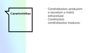 Características
▫ Condroblastos: produzem
e secretam a matriz
extracelular;
▫ Condrócitos:
condroblastos maduros;
 