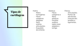 Tipos de
cartilagem
Hialina
▫ Matriz
homogênea
▫ Fibras
colágenas
delgadas
▫ Nariz,
orelhas,
articulações;
▫ Esqueleto
do embrião.
Elásticas
▫ Fibras
colágenas e
fibras
elásticas;
▫ Pavilhão
auditivo,
septo nasal,
epiglote e
laringe.
Fibrosa
▫ Articulações;
▫ Pontos de
alta tensão:
inserção dos
tendões e
ligamentos.
 