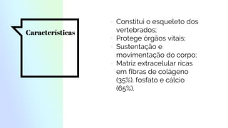 Características
▫ Constitui o esqueleto dos
vertebrados;
▫ Protege órgãos vitais;
▫ Sustentação e
movimentação do corpo;
▫ Matriz extracelular ricas
em fibras de colágeno
(35%). fosfato e cálcio
(65%).
 