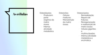 As células
Osteoblastos
▫ Produzem
parte
orgânica da
matriz
óssea;
▫ Intensa
atividade
metabólica.
Osteócitos
▫ Células
maduras;
▫ Manutenção
da matriz
óssea.
Osteoclastos
▫ Remodelação;
▫ Reparo de
fraturas;
▫ Renegenaração
e reabsorção de
matriz óssea;
▫ Células gigantes
e
multinucleadas;
▫ Intensa atividade
metabólica e
enzimática.
 