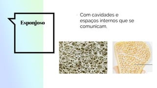 Esponjoso
▫ Com cavidades e
espaços internos que se
comunicam.
 