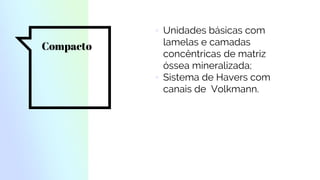 Compacto
▫ Unidades básicas com
lamelas e camadas
concêntricas de matriz
óssea mineralizada;
▫ Sistema de Havers com
canais de Volkmann.
 