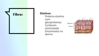 Fibras Elásticas:
▫ Proteína elastina
com
glicoproteínas;
▫ Conferem
elasticidade;
▫ Encontradas na
derme.
 