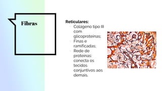 Fibras Reticulares:
▫ Colágeno tipo III
com
glicoproteínas;
▫ Finas e
ramificadas;
▫ Rede de
proteínas:
conecta os
tecidos
conjuntivos aos
demais.
 