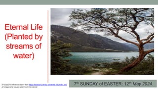 7th SUNDAY of EASTER: 12th May 2024
Eternal Life
(Planted by
streams of
water)
All scripture references taken from https://lectionary.library.vanderbilt.edu/index.php
All images and visuals taken from the Internet
 