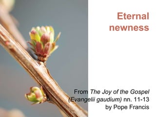 Eternal
newness

From The Joy of the Gospel
(Evangelii gaudium) nn. 11-13
by Pope Francis

 
