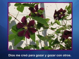 Dios me creó para gozar y gozar con otros. 