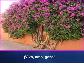 ¡Vivo, amo, gozo! 