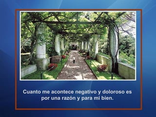 Cuanto me acontece negativo y doloroso es por una razón y para mi bien. 