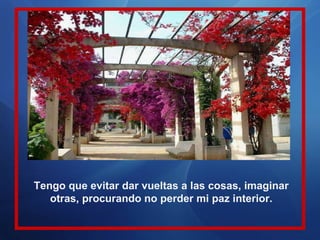 Tengo que evitar dar vueltas a las cosas, imaginar otras, procurando no perder mi paz interior. 