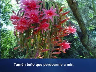 Tamén teño que perdoarme a min. 