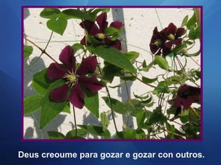 Deus creoume para gozar e gozar con outros. 
