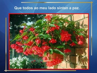Que todos ao meu lado sintan a paz. 