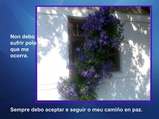 Non debo sufrir polo que me ocorra. Sempre debo aceptar e seguir o meu camiño en paz. 