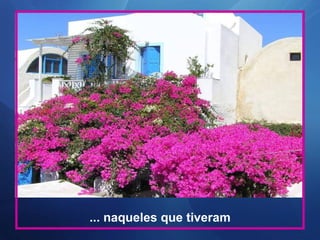 ... naqueles que tiveram
 