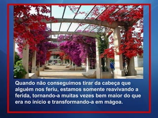 Quando não conseguimos tirar da cabeça que
alguém nos feriu, estamos somente reavivando a
ferida, tornando-a muitas vezes bem maior do que
era no início e transformando-a em mágoa.
 