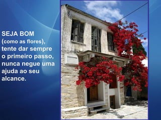 SEJA BOM ( como as flores ), tente dar sempre o primeiro passo, nunca negue uma ajuda ao seu alcance. 