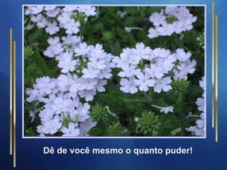 Dê de você mesmo o quanto puder! 