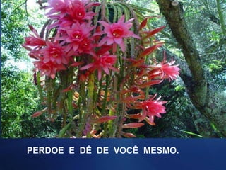 PERDOE  E  DÊ  DE  VOCÊ  MESMO. 