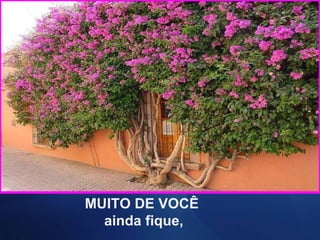 MUITO DE VOCÊ  ainda fique, 