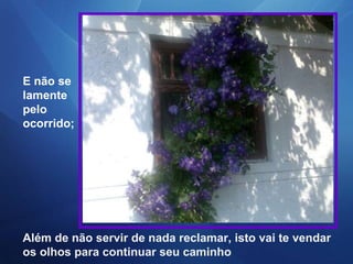 E não se lamente pelo ocorrido; Além de não servir de nada reclamar, isto vai te vendar os olhos para continuar seu caminho 