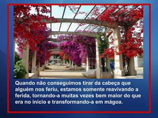 Quando não conseguimos tirar da cabeça que alguém nos feriu, estamos somente reavivando a ferida, tornando-a muitas vezes bem maior do que era no início e transformando-a em mágoa. 