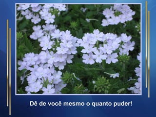 Dê de você mesmo o quanto puder!
 