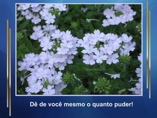 Dê de você mesmo o quanto puder!
 