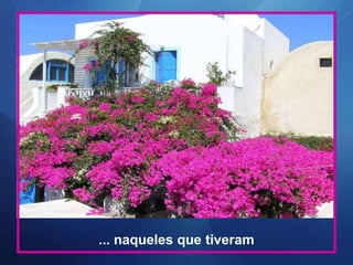 ... naqueles que tiveram
 