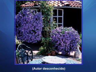 (Autor desconhecido)
 