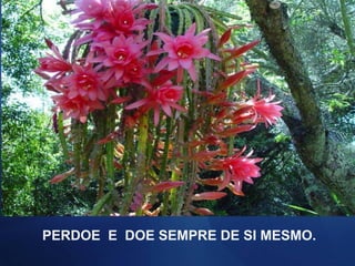 PERDOE E DOE SEMPRE DE SI MESMO.
 