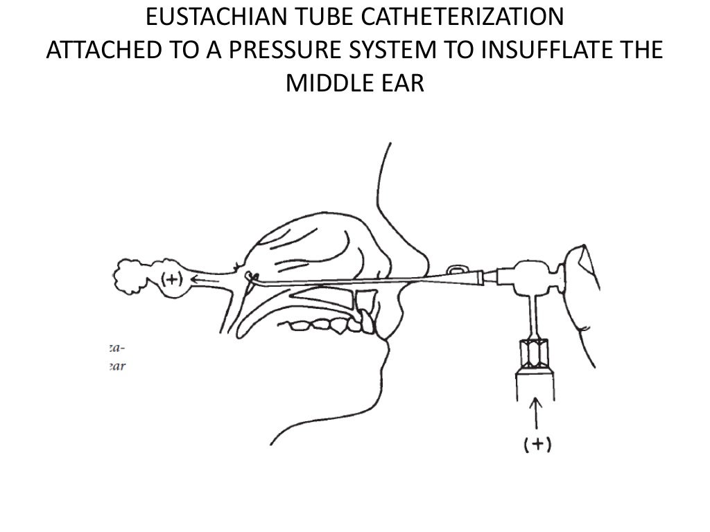 eustachian tube physiology ppt