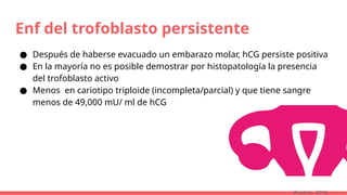 Enf del trofoblasto persistente
● Después de haberse evacuado un embarazo molar, hCG persiste positiva
● En la mayoría no es posible demostrar por histopatología la presencia
del trofoblasto activo
● Menos en cariotipo triploide (incompleta/parcial) y que tiene sangre
menos de 49,000 mU/ ml de hCG
(Robbins, 2015)
 