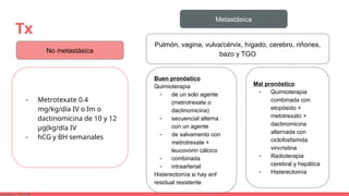 Tx
No metastásica
Metastásica
- Metrotexate 0.4
mg/kg/día IV o Im o
dactinomicina de 10 y 12
μg(kg/día IV
- hCG y BH semanales
Pulmón, vagina, vulva/cérvix, hígado, cerebro, riñones,
bazo y TGO
Buen pronóstico
Quimioterapia
- de un solo agente
(metrotrexate o
dactinomicina)
- secuencial alterna
con un agente
- de salvamento con
metrotrexate +
leucovorin cálcico
- combinada
- intraarterial
Histerectomía si hay enf
residual resistente
Mal pronóstico
- Quimioterapia
combinada con
etopósido +
metotrexato +
dactinomicina
alternada con
ciclofosfamida
vincristina
- Radioterapia
cerebral y hepática
- Histerectomía
 