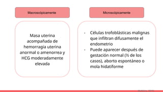 Macroscópicamente Microscópicamente
Masa uterina
acompañada de
hemorragia uterina
anormal o amenorrea y
HCG moderadamente
elevada
- Células trofoblásticas malignas
que infiltran difusamente el
endometrio
- Puede aparecer después de
gestación normal (½ de los
casos), aborto espontáneo o
mola hidatiforme
(Robbins, 2015)
 