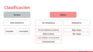 Clasificación
Benigna Maligna
Mola hidatiforme
Completa Incompleta
No metastásica Metastásica
Enf del trofoblasto persistente
Mola invasora
Tumor trofoblástico en sitio placentario
Coriocarcinoma
Bajo riesgo
Alto riesgo
(Robbins, 2015)
 