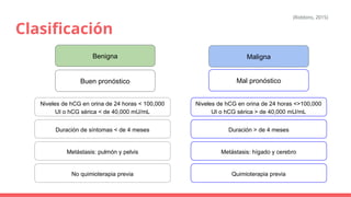 Clasificación
Benigna Maligna
Buen pronóstico Mal pronóstico
Niveles de hCG en orina de 24 horas < 100,000
UI o hCG sérica < de 40,000 mU/mL
Duración de síntomas < de 4 meses
Metástasis: pulmón y pelvis
No quimioterapia previa
Niveles de hCG en orina de 24 horas <>100,000
UI o hCG sérica > de 40,000 mU/mL
Duración > de 4 meses
Metástasis: hígado y cerebro
Quimioterapia previa
(Robbins, 2015)
 